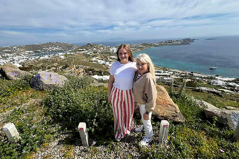 Private Tour: Customize Your Perfect Day in Mykonos