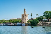 Sevilla, 1 hora del río Guadalquivir para hacer turismo Eco Cruise - Housity
