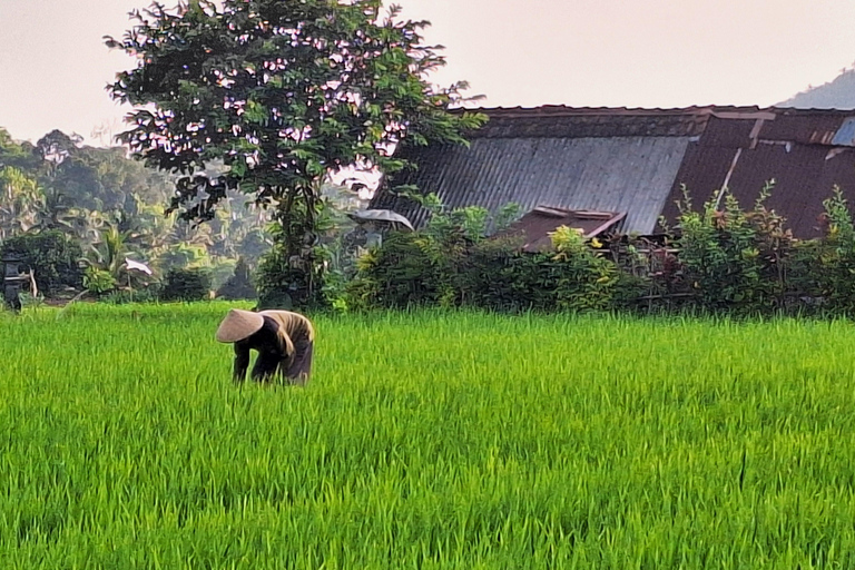 Sidemen Trekking : Une marche dans une perspective différente