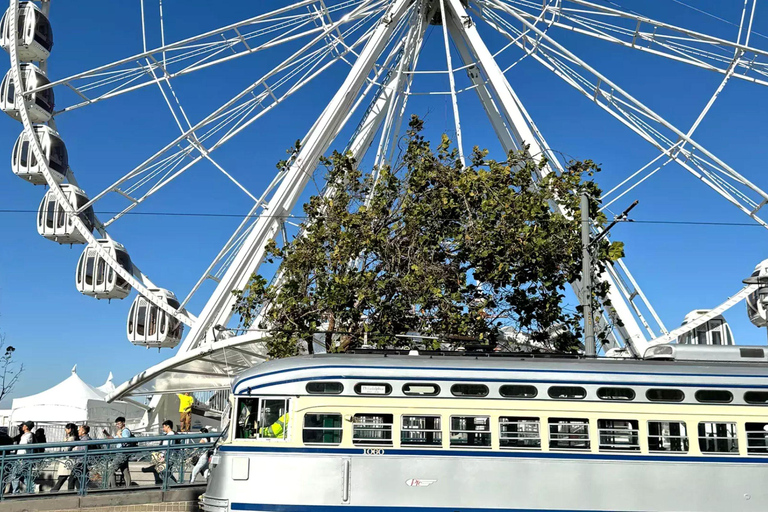 San Francisco : Billets pour la roue d&#039;observation SkyStar + visite de l&#039;application