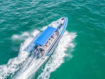 Coastal Boat Tour from Lake Macquarie