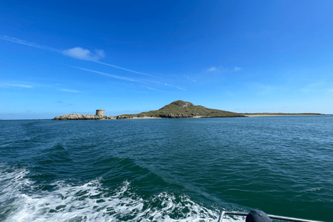 Dublin: Dublin Bay and Ireland&#039;s Eye Boat Tour