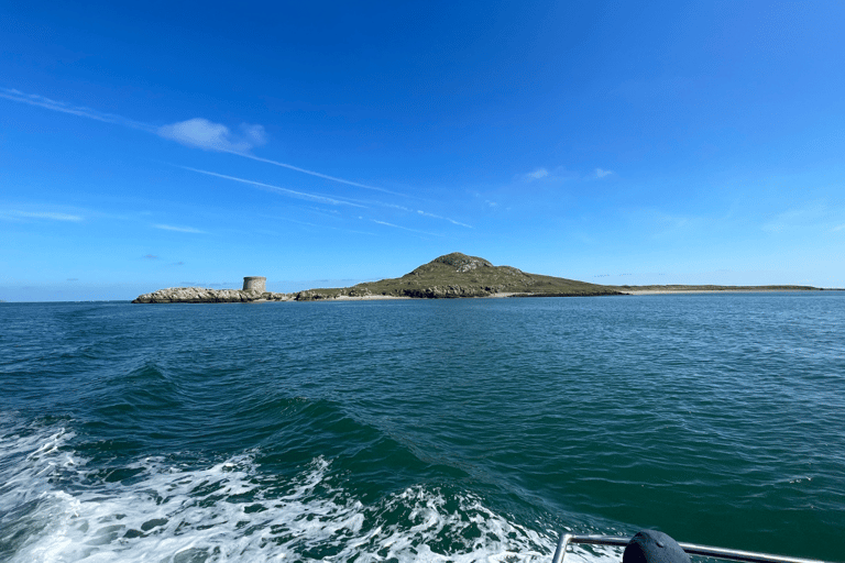 Dublin, Irland Dublin Bay och Ireland&#039;s Eye båttur