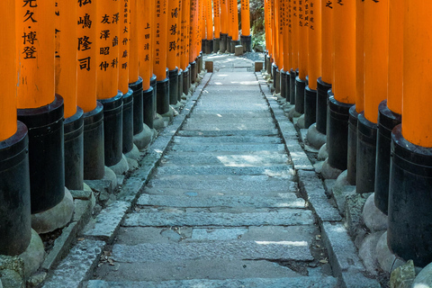 Excursion d&#039;une journée à Kyoto et Osaka avec personne parlant anglais et Nara