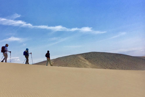 Depuis Lima : Excursion d&#039;une journée aux lignes de Nazca et à l&#039;oasis de Huacachina