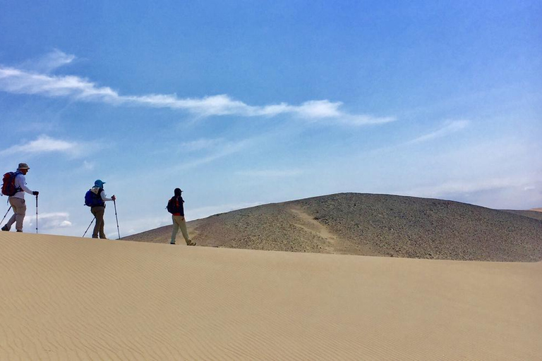 From Lima: Nazca Lines and Huacachina Oasis Day Trip