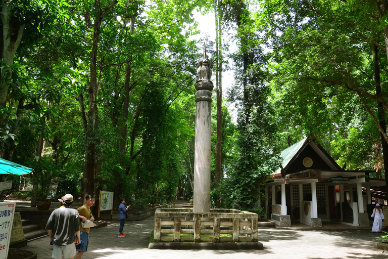 Chiang Mai: 4-stündige Doi Suthep, Wat Umong, &amp; Wat Phalat Tour