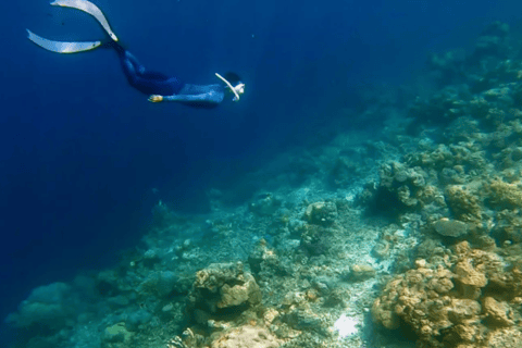 Coron : Visite privée de la grotte de Pukaway et du lac souterrain avec déjeuner