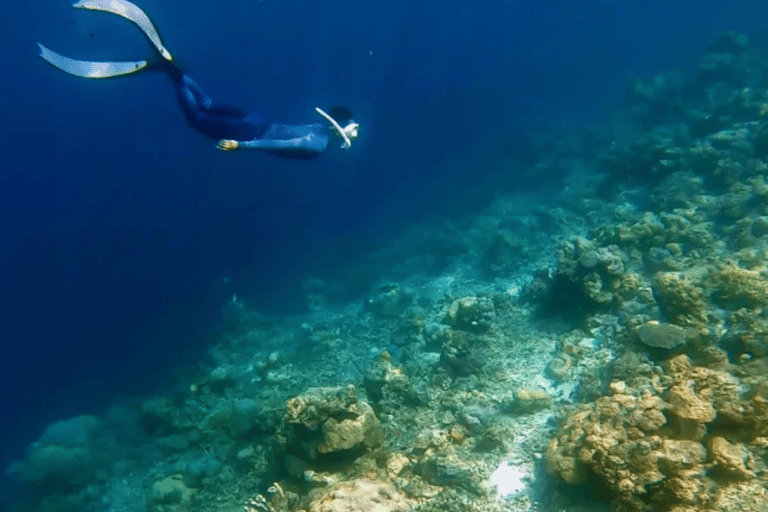 Coron: Tour privato del lago sotterraneo della grotta di Pukaway con pranzo