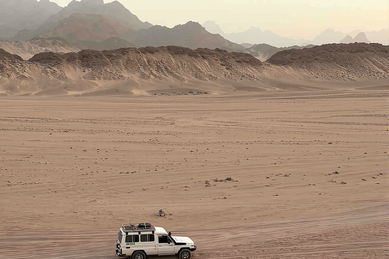 Hurghada: Mount Shaib El Banat Tour with Sandboarding Sand boarding and hiking & camel ride