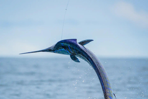 Fishing sporting zanzibar