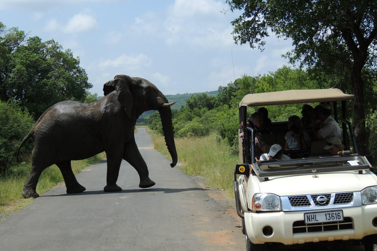 Hluhluwe-iMfolozi Park - Open Safari Vehicle Game Drives
