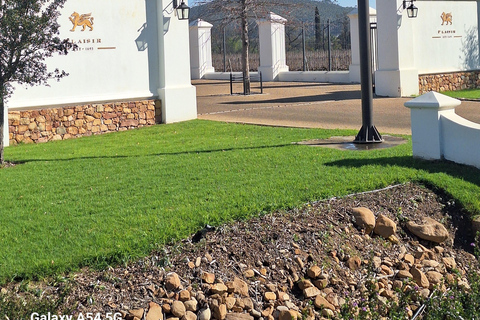 Private Wine Tasting tour