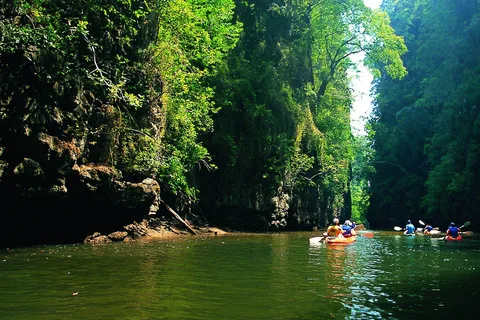 Krabi: Kayaking in Ao Thalane Bay Beautiful Mangrove Forest