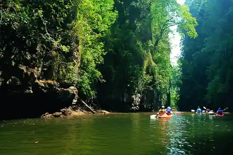 Krabi: Kayaking in Ao Thalane Bay Beautiful Mangrove Forest