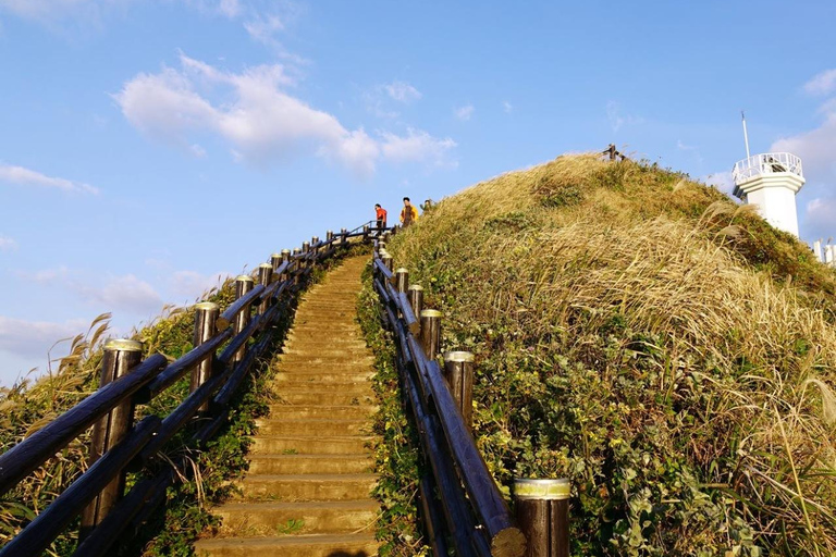 Jeju: UNESCO East Coast Small Group Tour with Hotel pickup