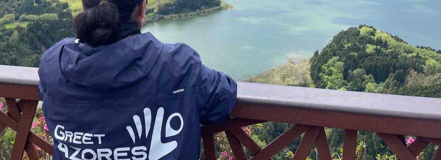 Visite privée en van de la vallée de Furnas, thé de Gorreana - joyaux des îles