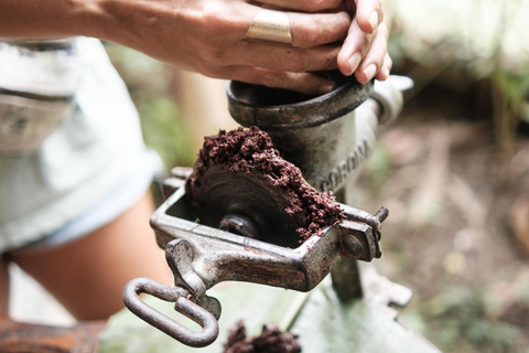 Cacao and Poza del Amor Experience in Tayrona