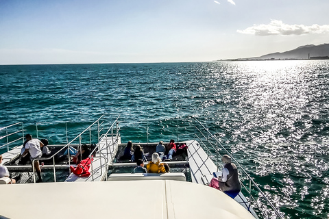 Malaga: Catamaran Cruise with Optional Swimming Stop 1-Hour Daytime Cruise without Swimming Stop