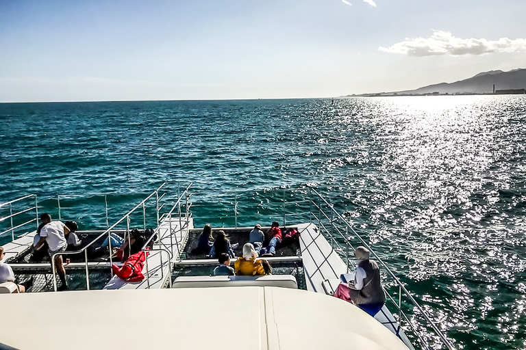 Málaga: Cruzeiro de catamarã com parada opcional para nadarPasseio Diurno de 1 Hora sem Parada para Mergulho