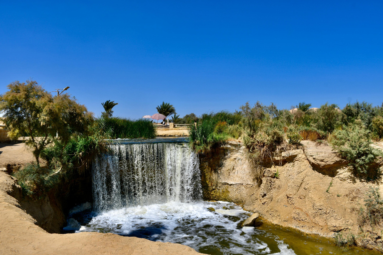 From Cairo: 4x4 Desert Safari, Waterfalls & Magic Lake Shared Tour: Wadi El Rayan, Magic Lake & Lake Qarun, Jeep
