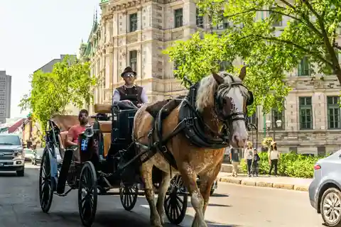 Québec : visite privée de la ville