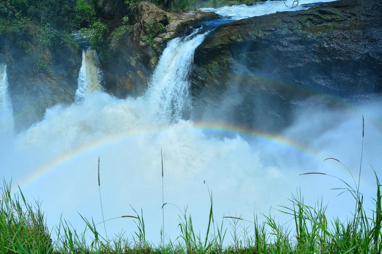 恩德培/坎帕拉：3日莫西森瀑布之旅与犀牛追踪