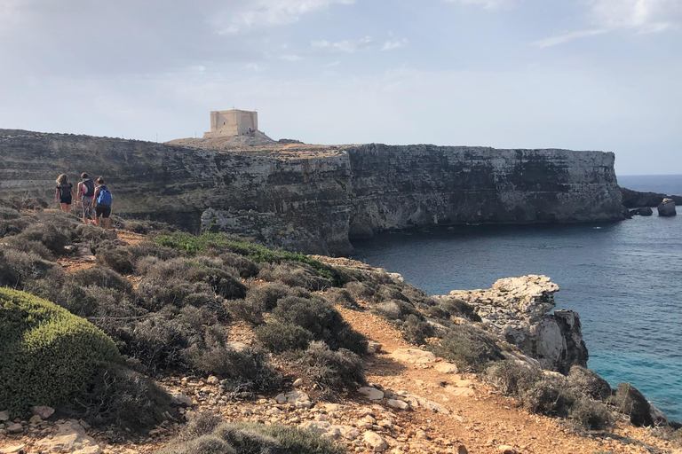 Desde Sliema o Bugibba: ferry de ida y vuelta a la Laguna Azul de CominoFerry de ida y vuelta a la Laguna Azul de Comino desde Bugibba