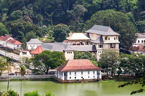 Kandy y Pinnawala: Excursión privada de un día desde el puerto de Colombo
