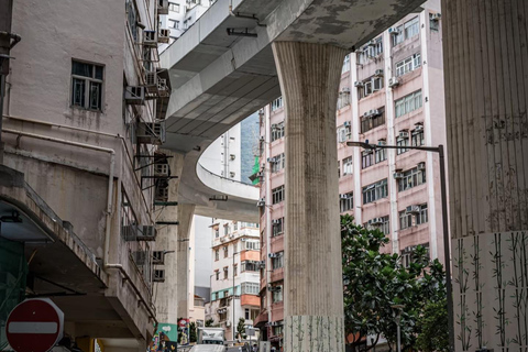 Shenzhen to Hong Kong: Skyline & Heritage Escape (Private) Guide for Spanish/Russian/German/Italian/French