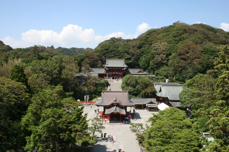 Tokyo: City One Day Private Customizable Top Places Tour