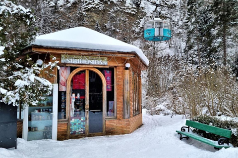 Tbilisi: Borjomi and Bakuriani Day Trip with Guide