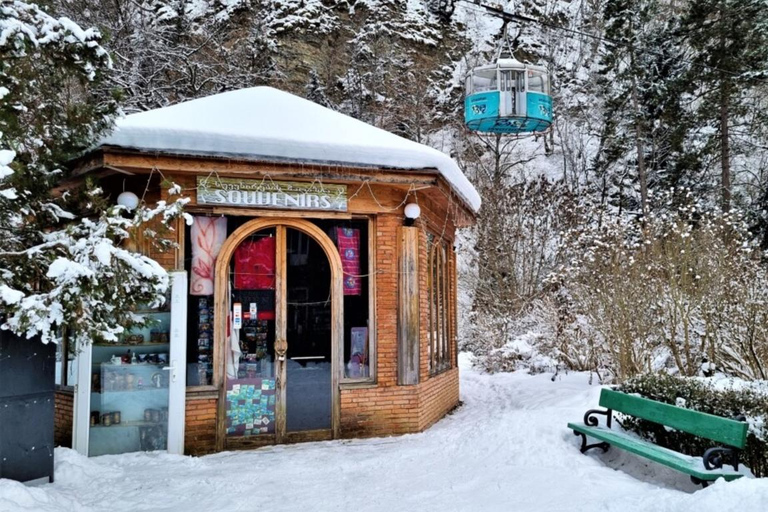 Tbilisi: Borjomi and Bakuriani Day Trip with Guide