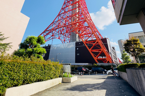 Tokio: Private &amp; anpassbare Tour mit englischsprachigem Fahrer