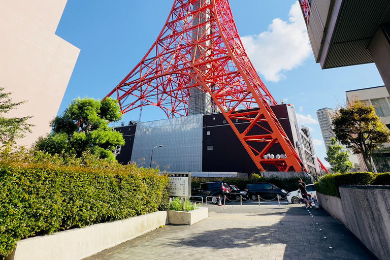 Tokyo - privat och skräddarsydd Privat och anpassningsbar turné med engelsktalande förare