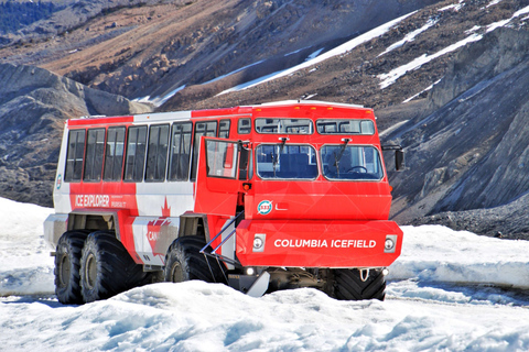 Icefield Glacier & Skywalk Full-Day Tour