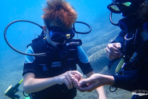 Agia Pelagia: nurkowanie dla dzieci