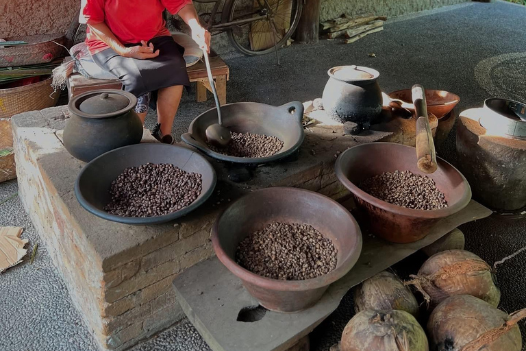 Ubud: Private Half-Day Tour Rice Terrace, Temple & Waterfall Private Half-Day Tour (With Entrance Tickets)