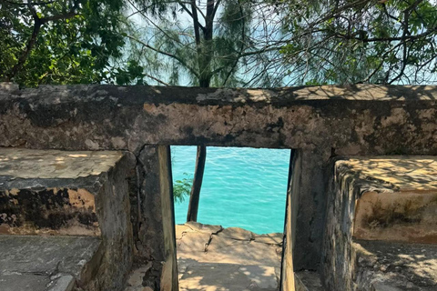 ZANZIBAR: Prison Island visit & Uzi Mangrove Kayak Tour PRIVATE TOUR INCLUDES HOTEL PICKUP AND DROP OFF