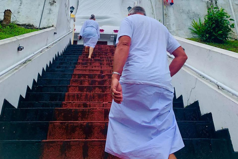 Kandy: Elephant Village Experience & Kandyan Dance Tour Kandy: Private Guided City Tour by Tuk-Tuk