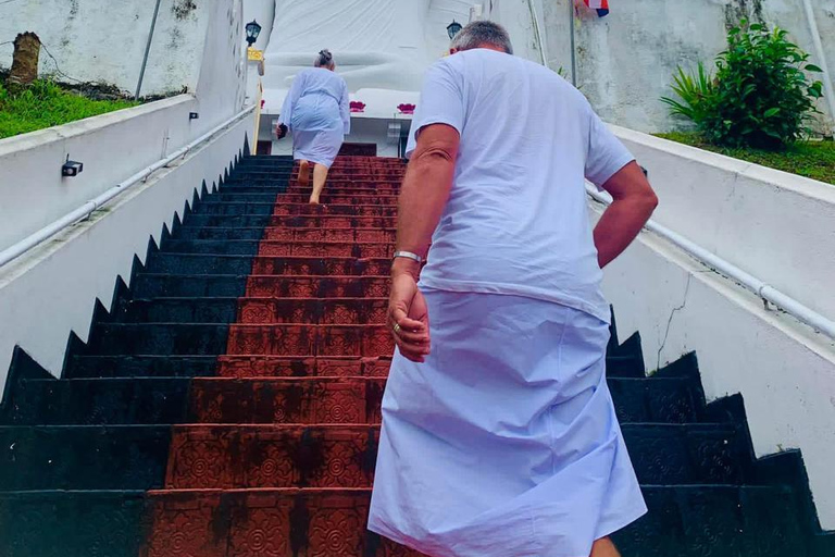 Kandy: Elephant Village Experience & Kandyan Dance Tour Kandy: Private Guided City Tour by Tuk-Tuk