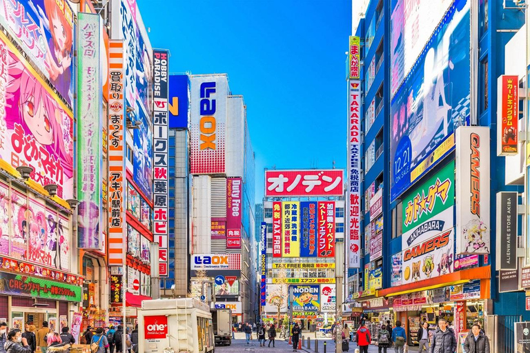 Tokyo: Tailored Shopping Escape Tour