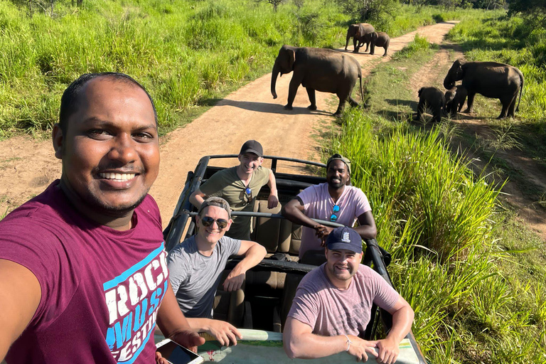 Tour delle rocce di Sigiriya e safari in jeep a Minneriya Sri Lanka