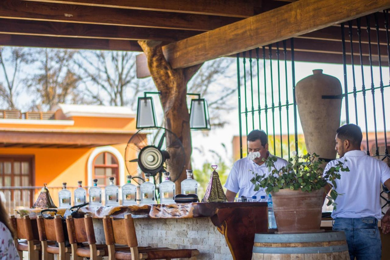 Visita a la Hacienda La Caravedo