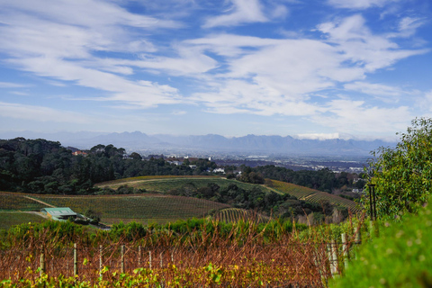 Jardin botanique de Kirstenbosch et vallée viticole de Constantia