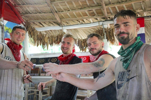 Puerto Plata: Adrenaline, Mud, and Breeze: 4x4 Buggy Expedition