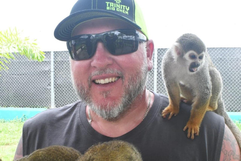 Puerto Plata: Exclusive Monkey Tour for Cruise Passengers