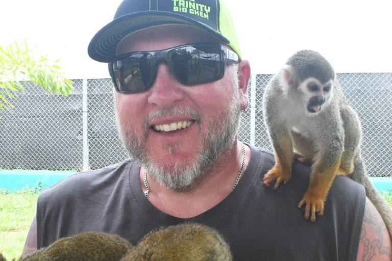 Puerto Plata: Exclusive Monkey Tour for Cruise Passengers