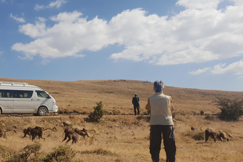 Etiopia Najlepsze 16-dniowe wycieczki, trekking w góry, wulkan, plemiona16 dni góry Simien, depresja Danakil, plemię Omo Vallely
