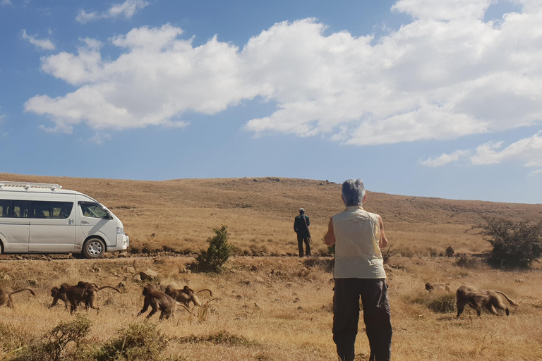 Etiopia Najlepsze 16-dniowe wycieczki, trekking w góry, wulkan, plemiona16 dni góry Simien, depresja Danakil, plemię Omo Vallely